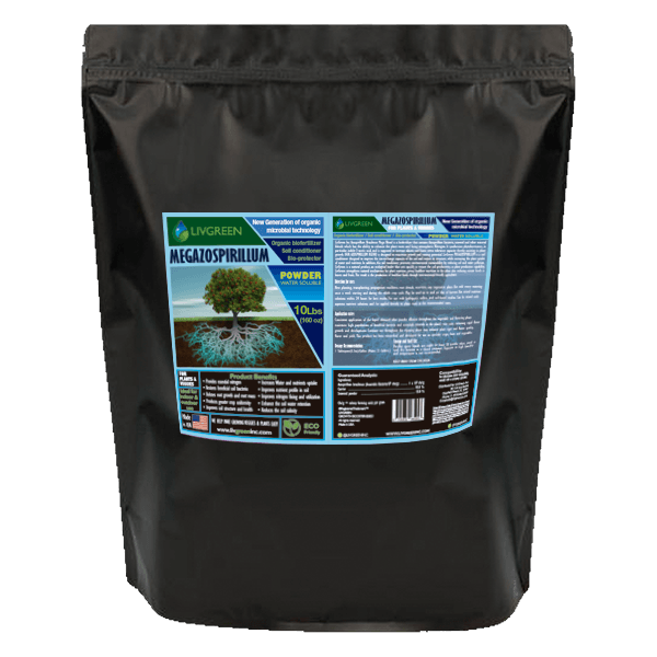 Megazospirillum Powder Livgreeninc