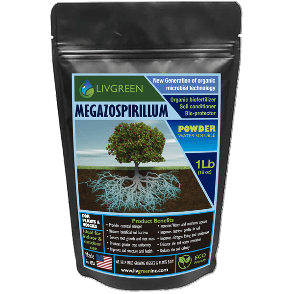 Megazospirillum Powder Livgreeninc